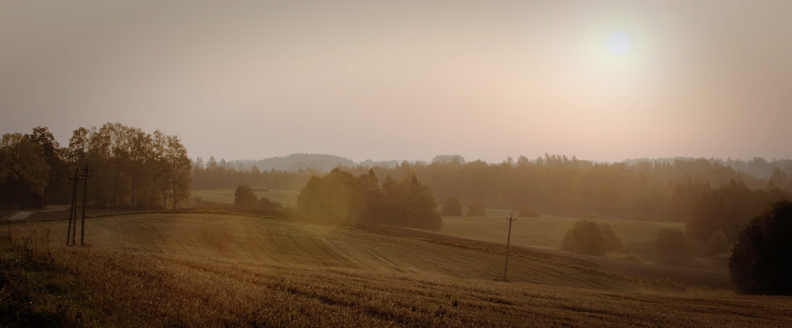 Image of Valgjärve, Southern Estonia.